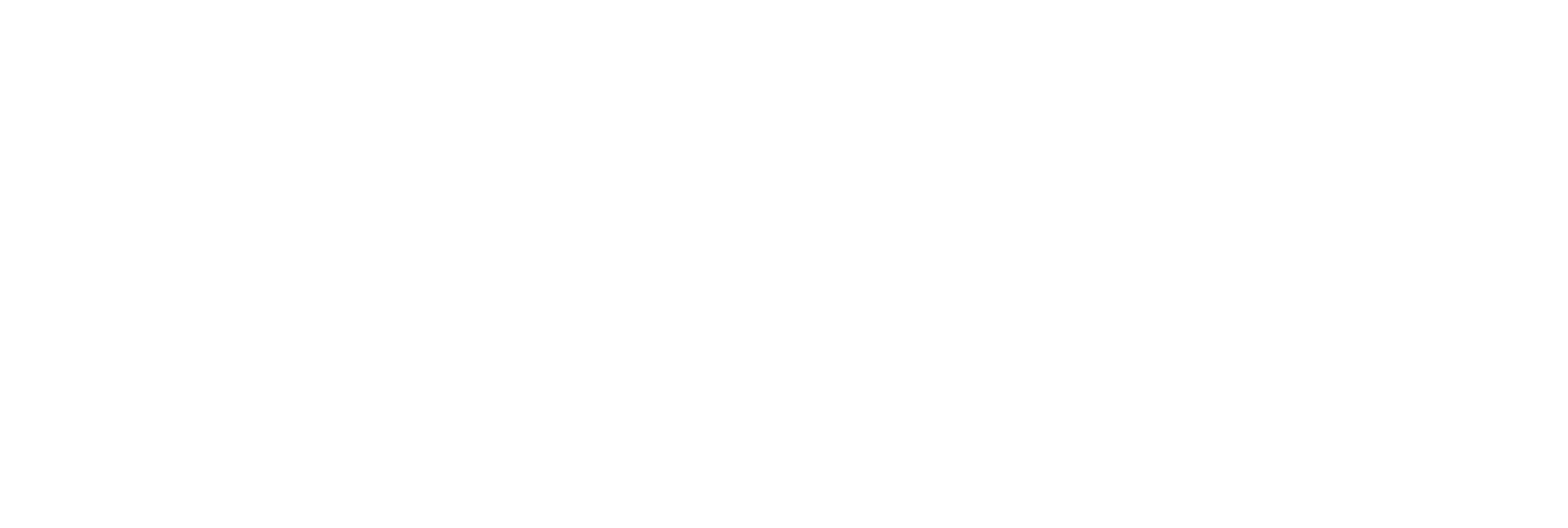 nyhav. logo